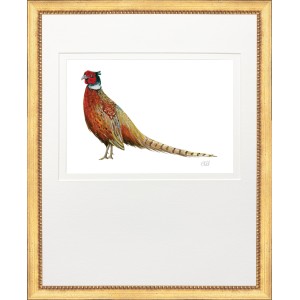 KS- PHEASANT 2